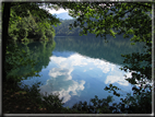 foto Lago di Levico